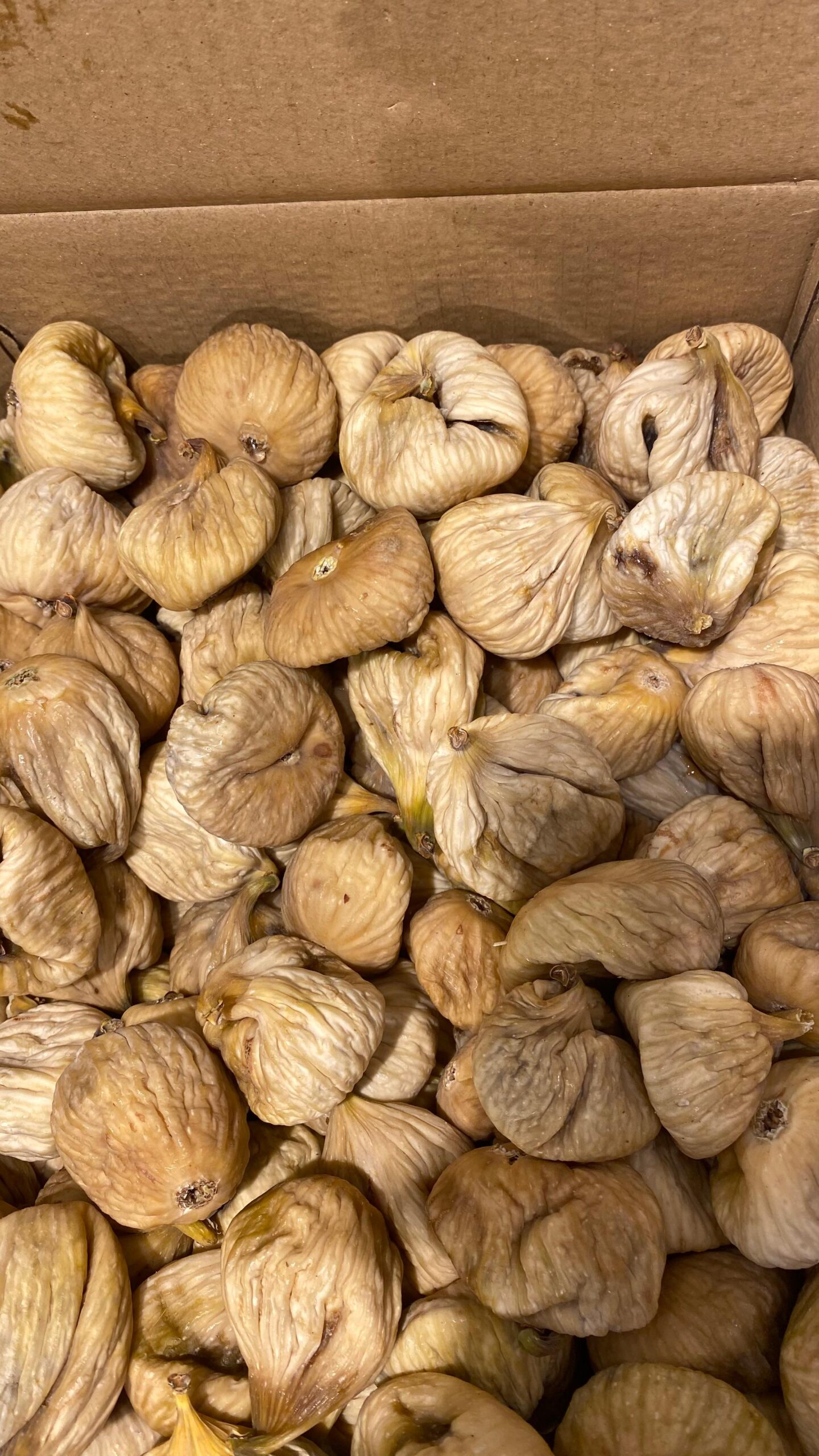 WhatsApp Görsel 2025-10-27 saat 23.20.18_23768db9