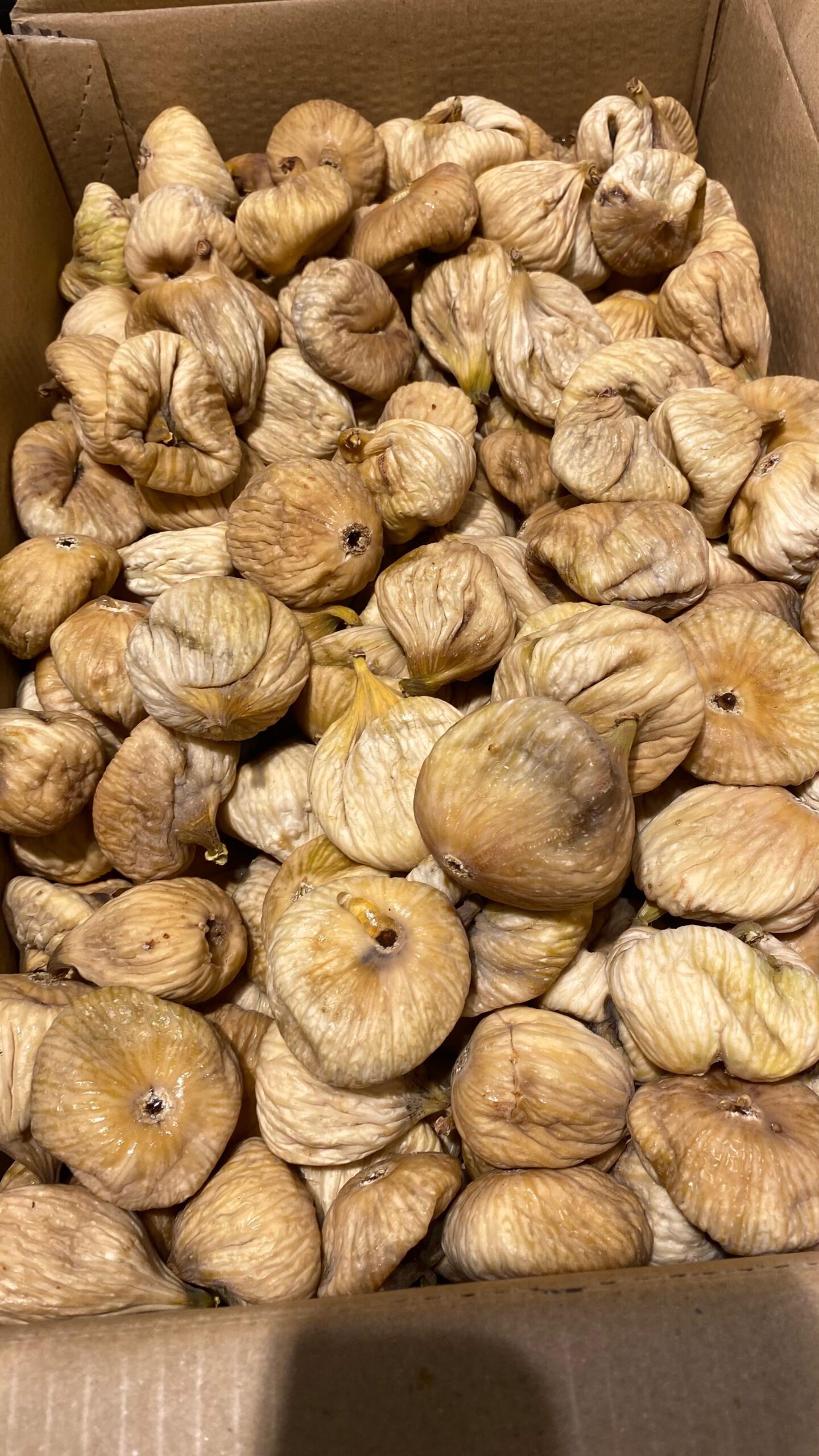 WhatsApp Görsel 2025-10-27 saat 23.20.18_26591c70