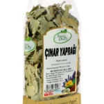 Çınar Yaprağı